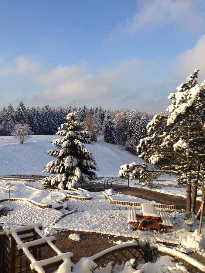 Ferienwohnung "Rodelnde Geiss" Mit Schwimmbad Braunlage Buitenkant foto