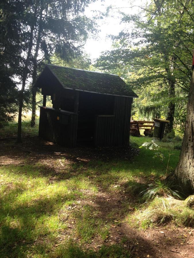 Ferienwohnung "Rodelnde Geiss" Mit Schwimmbad Braunlage Buitenkant foto