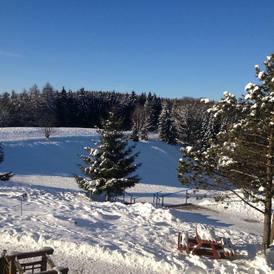 Ferienwohnung "Rodelnde Geiss" Mit Schwimmbad Braunlage Buitenkant foto