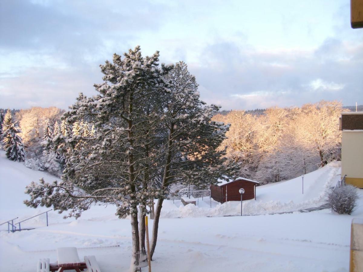 Ferienwohnung "Rodelnde Geiss" Mit Schwimmbad Braunlage Buitenkant foto